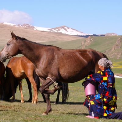 Caballos legendarios