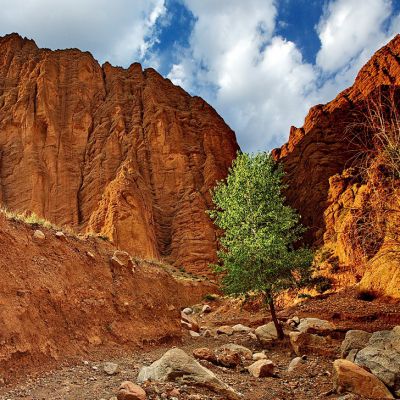 Tesores escondidos del Oriente