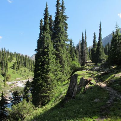 Teseros verdes de la Ruta de la Seda