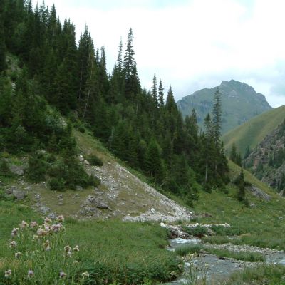 Trésor vert de la Route de la Soie 13 jours